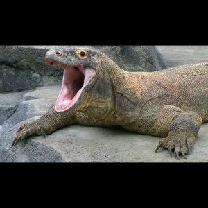 Meet your Posher, Naoko